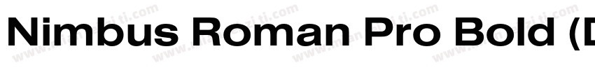 Nimbus Roman Pro Bold (D)字体转换